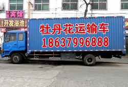 牡丹花运输车